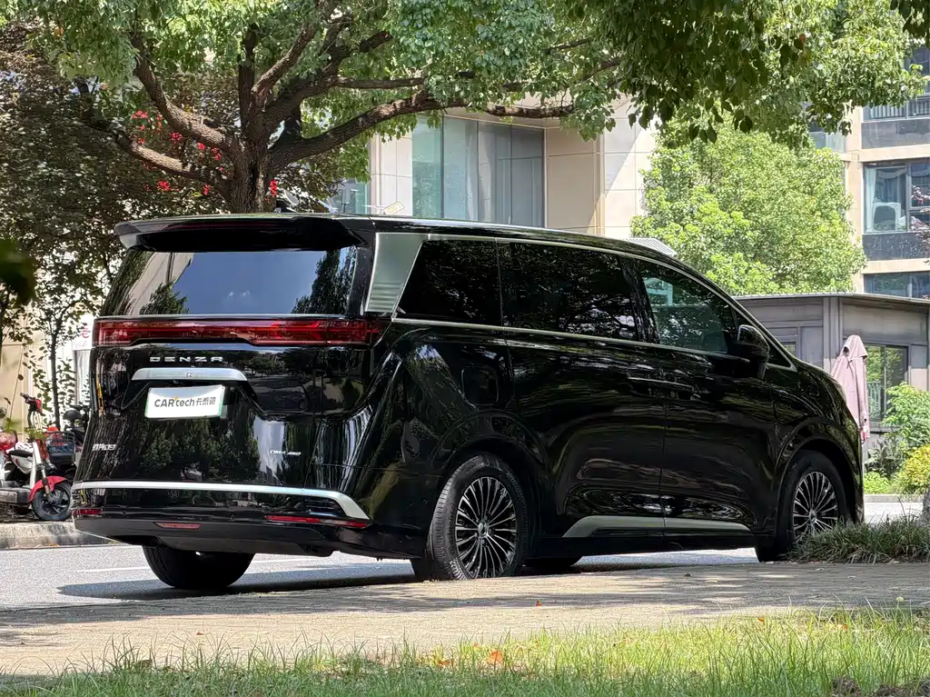 Denza Denza D9 — миниатюра 5