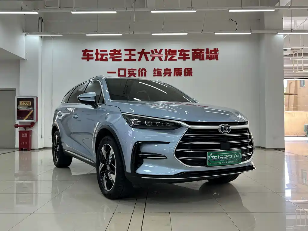BYD Tang New Energy — миниатюра 2