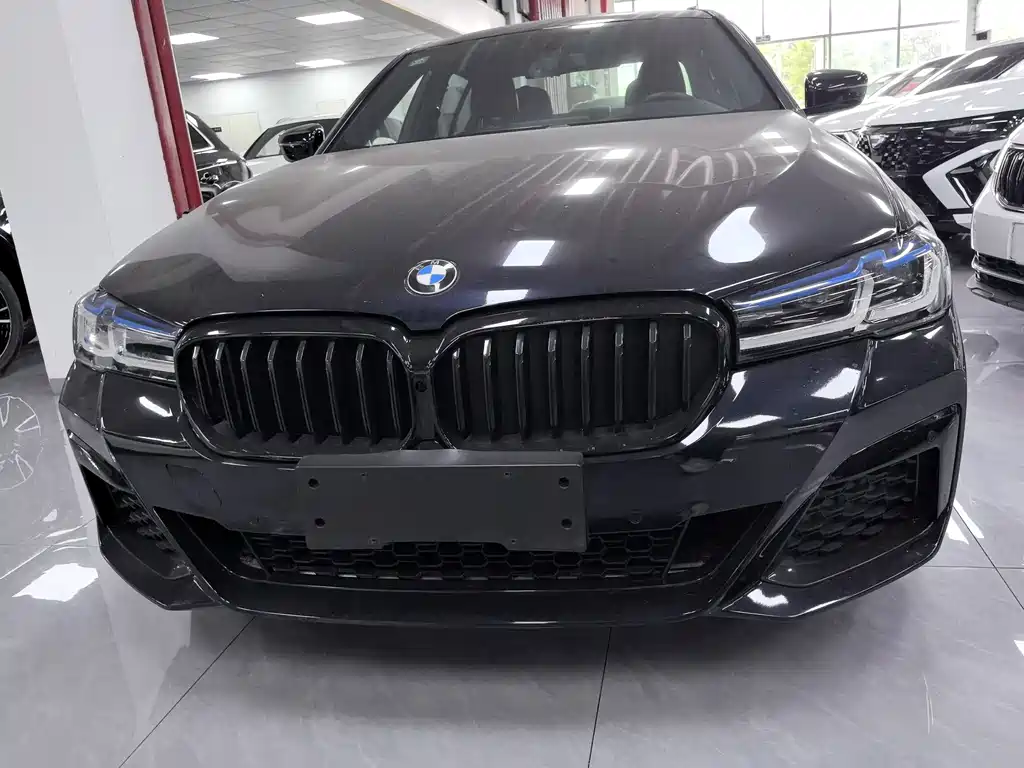 BMW 5 Series — миниатюра 2