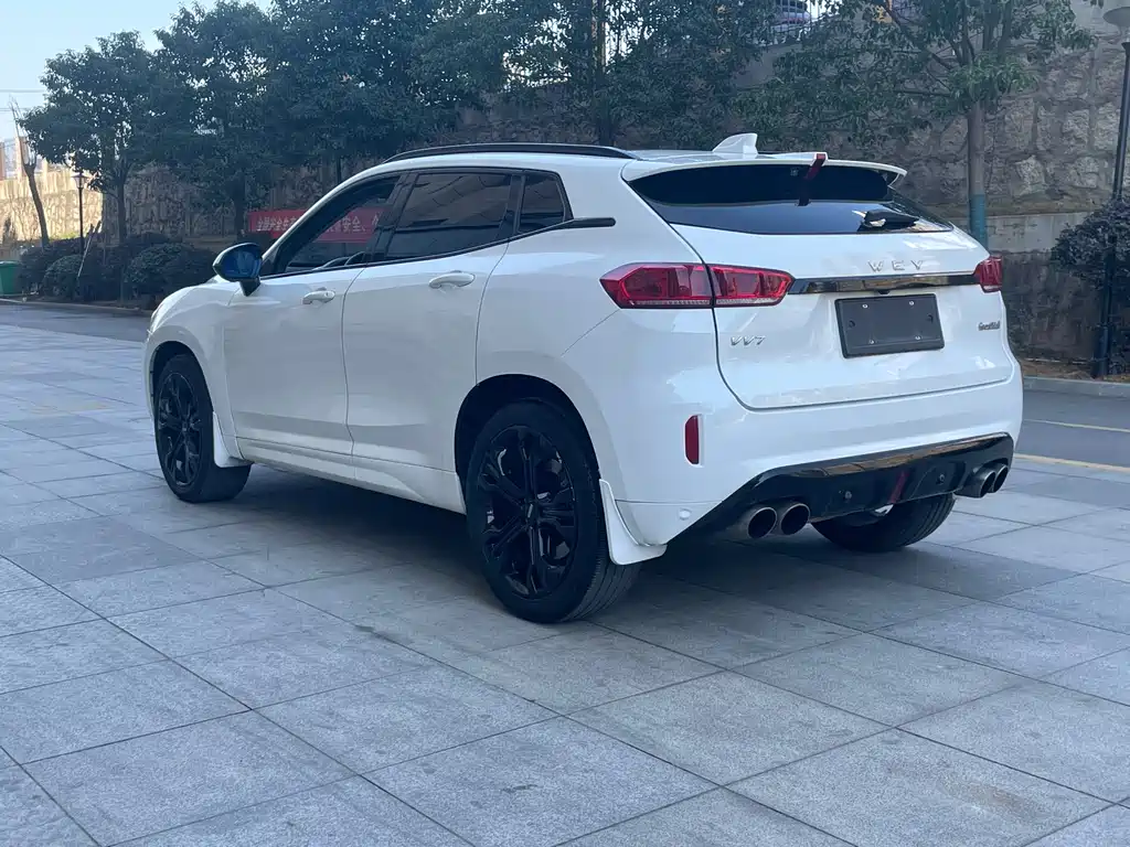 WEI PAI WEI BRAND VV7