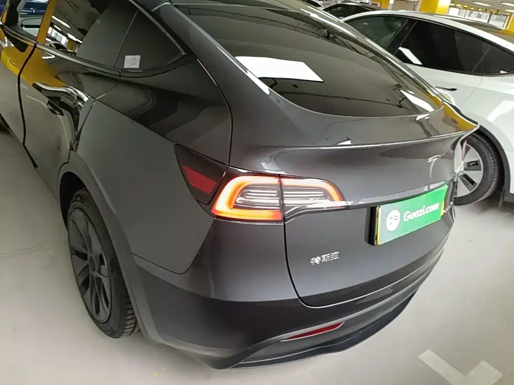 Tesla Model Y — миниатюра 6