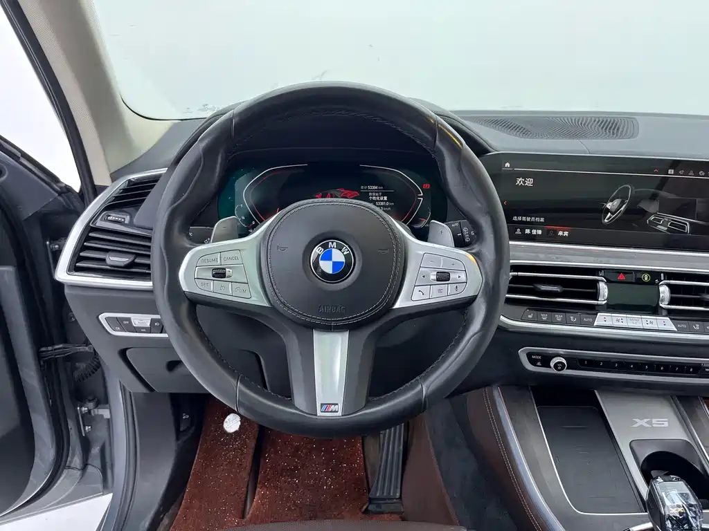 BMW X5 — миниатюра 6