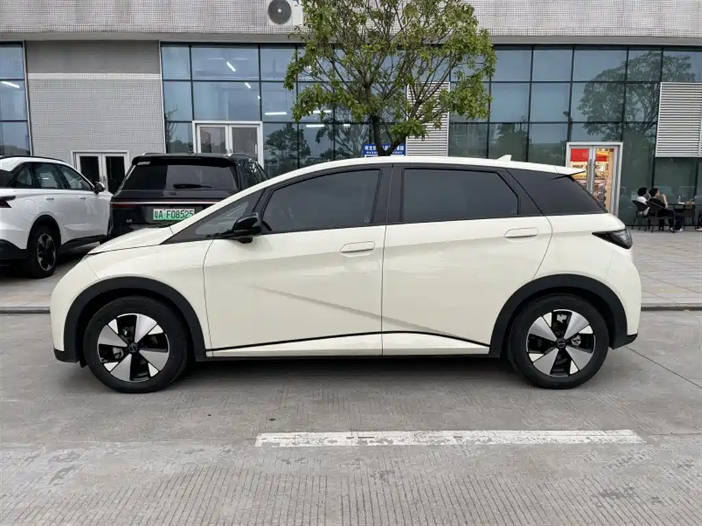 BYD Dolphin — миниатюра 3