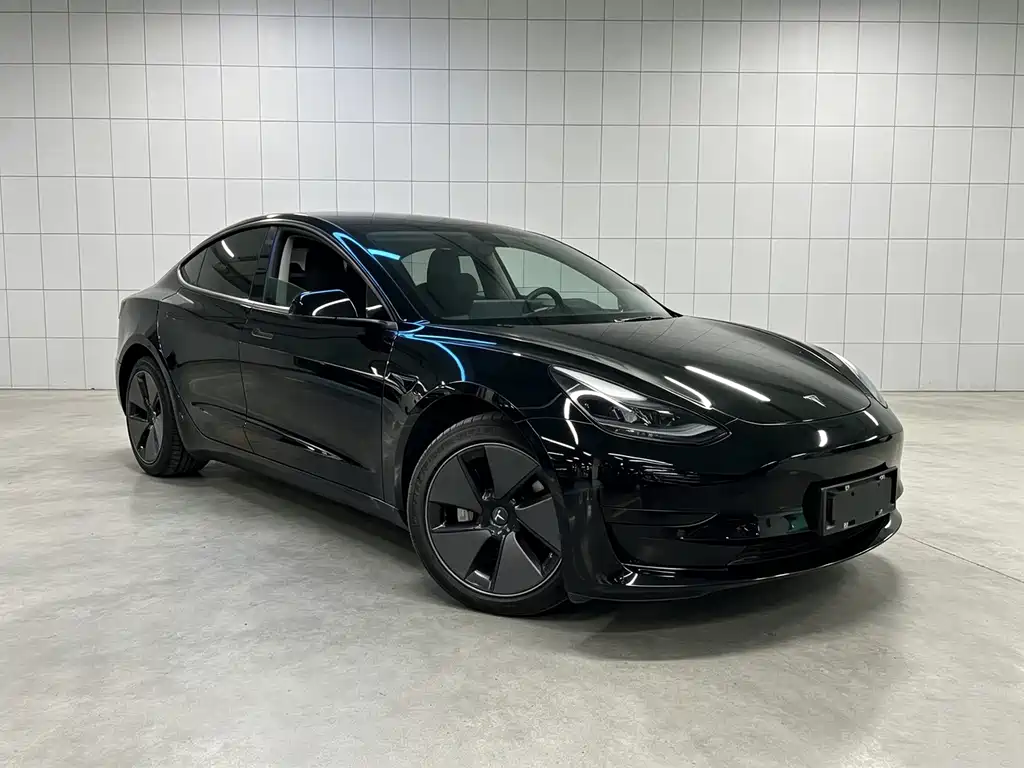 Tesla Model 3 — миниатюра 3