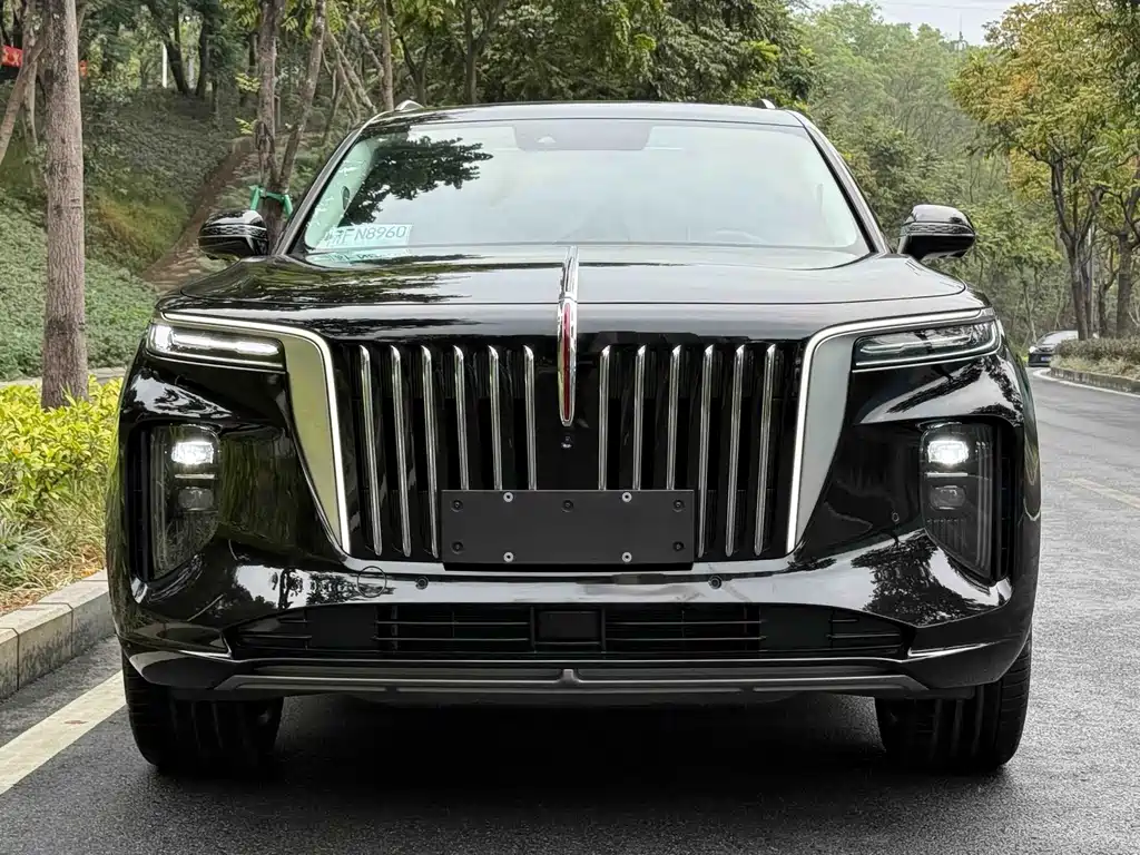 Hongqi Hongqi E-HS9 — миниатюра 2