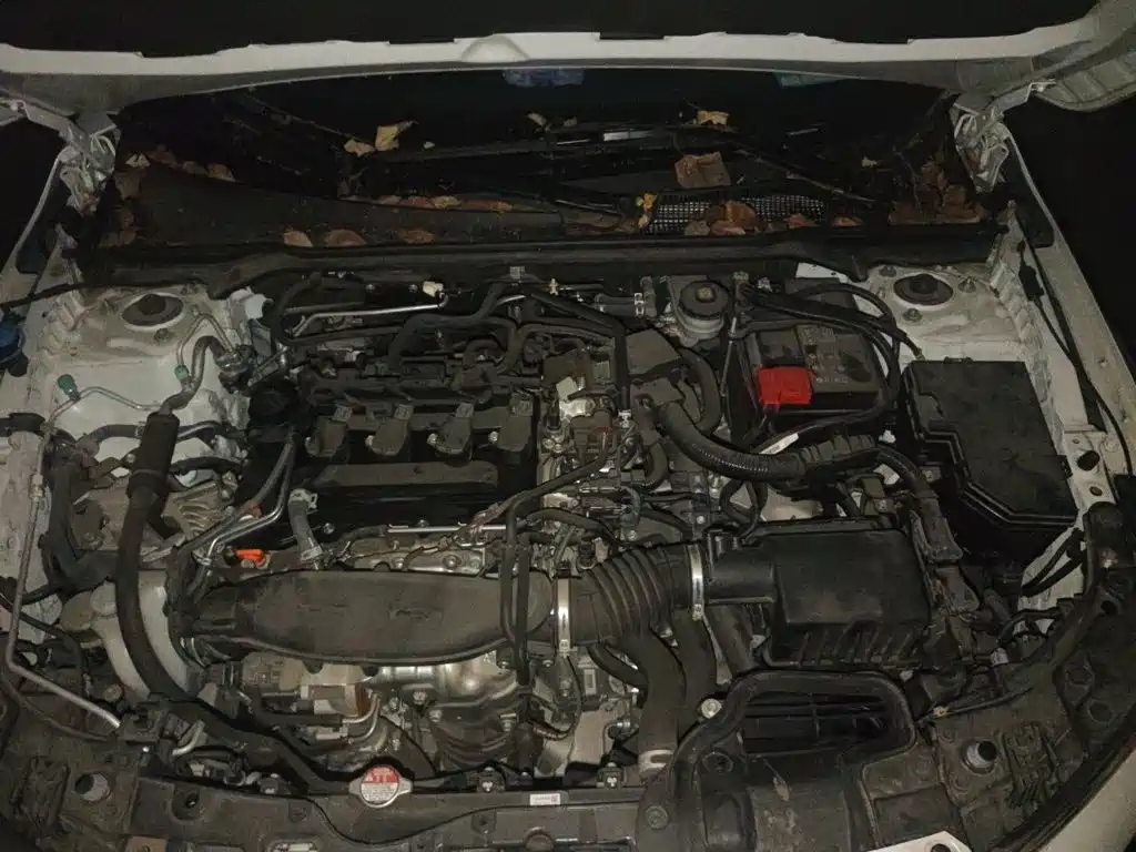Honda Civic — миниатюра 16