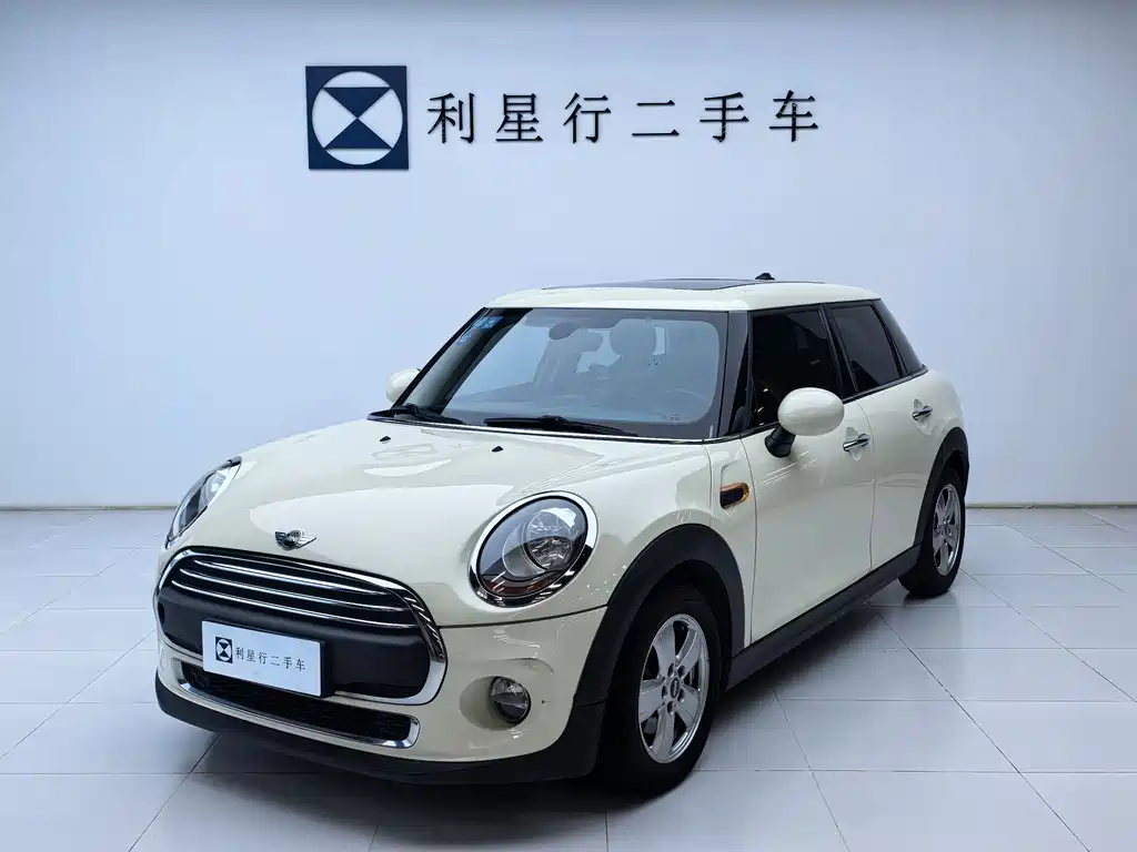 Mini Mini 2017