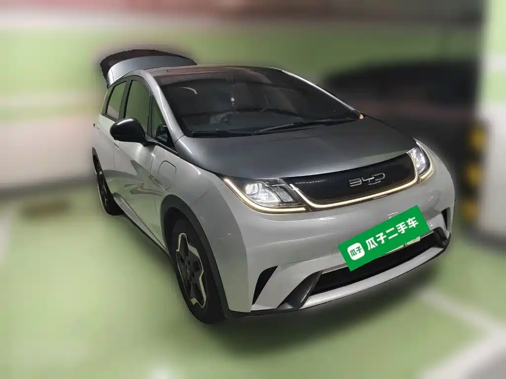 BYD Dolphin — миниатюра 3