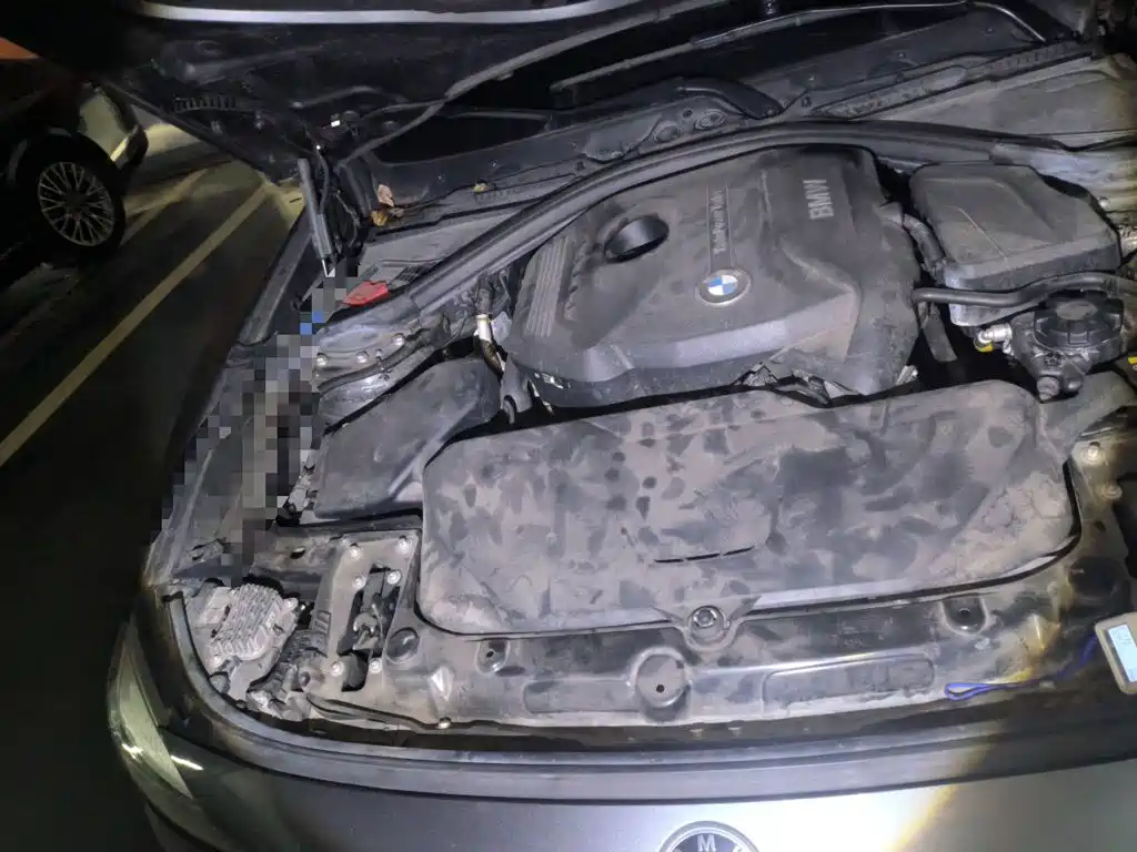 BMW 3 Series GT — миниатюра 19