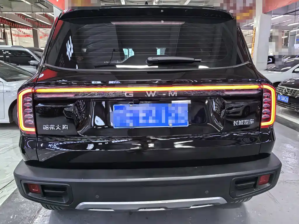 Haval Big Dog — миниатюра 5