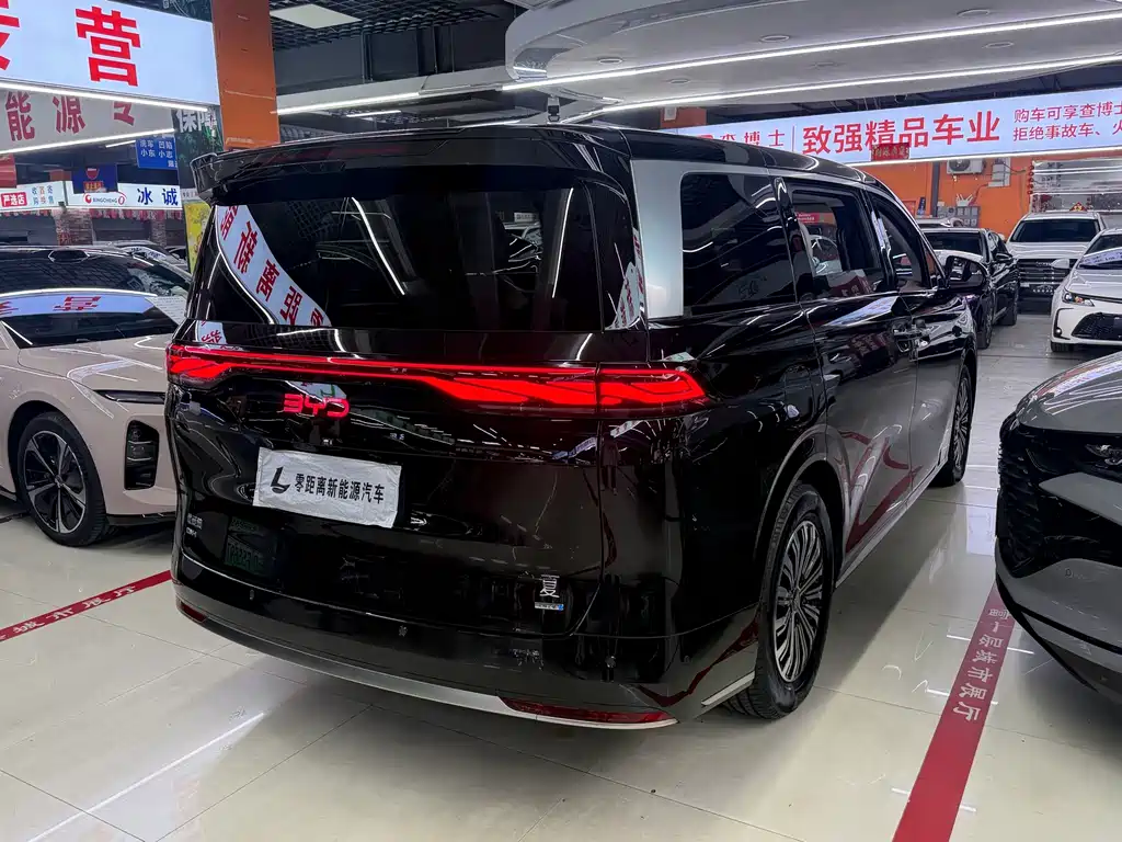 BYD Xia — миниатюра 6