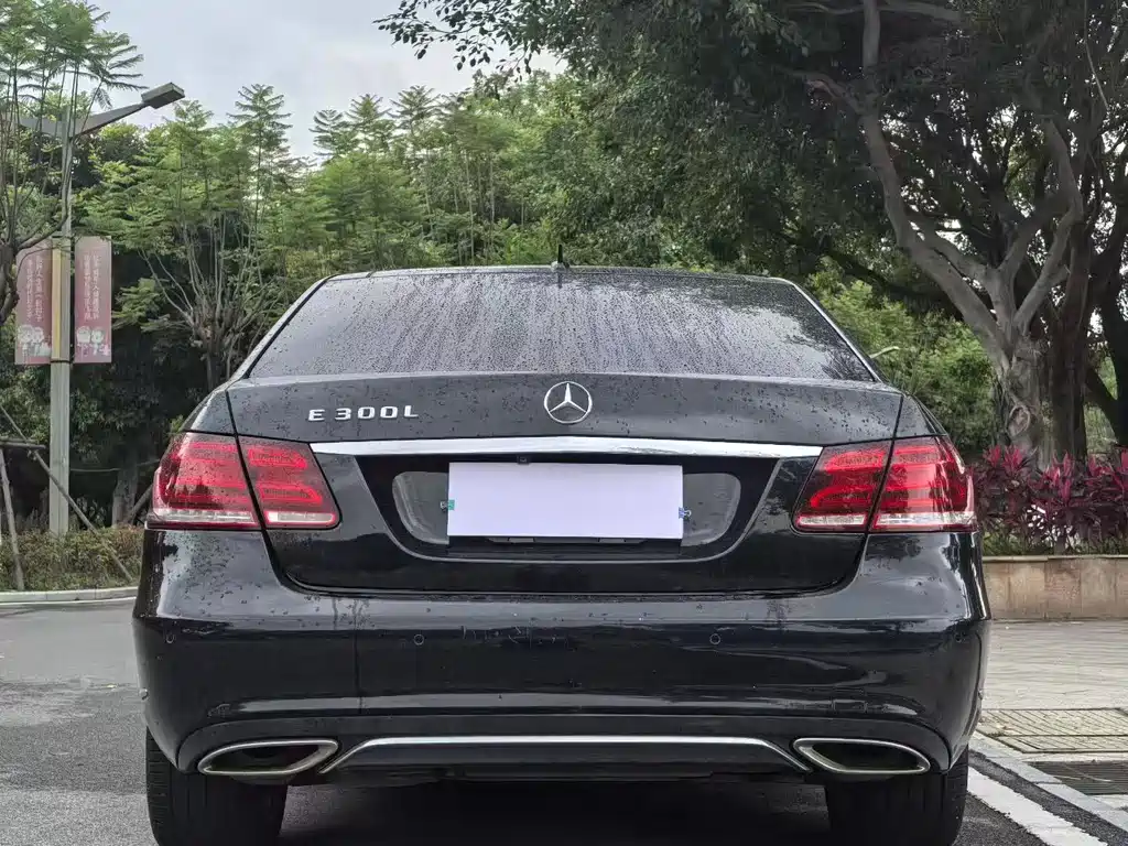 Mercedes-Benz E-Class E 2014 E 300 L