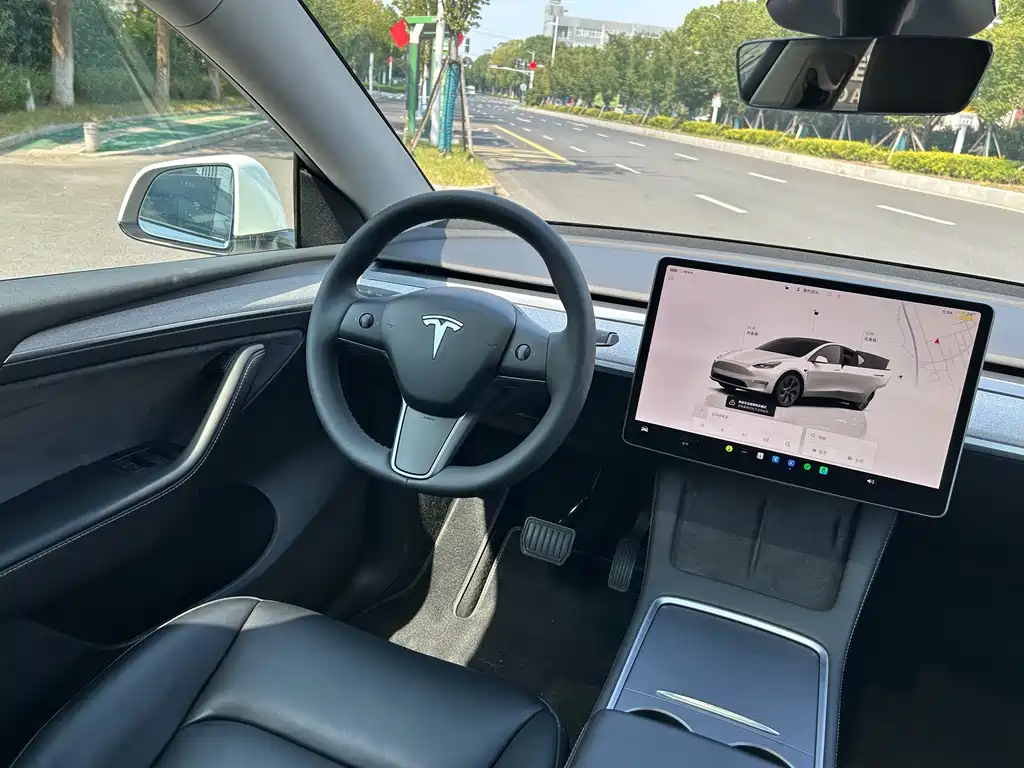 Tesla Model Y — миниатюра 9