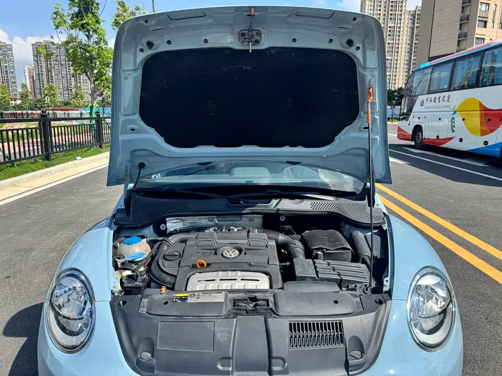Volkswagen Beetle — миниатюра 10