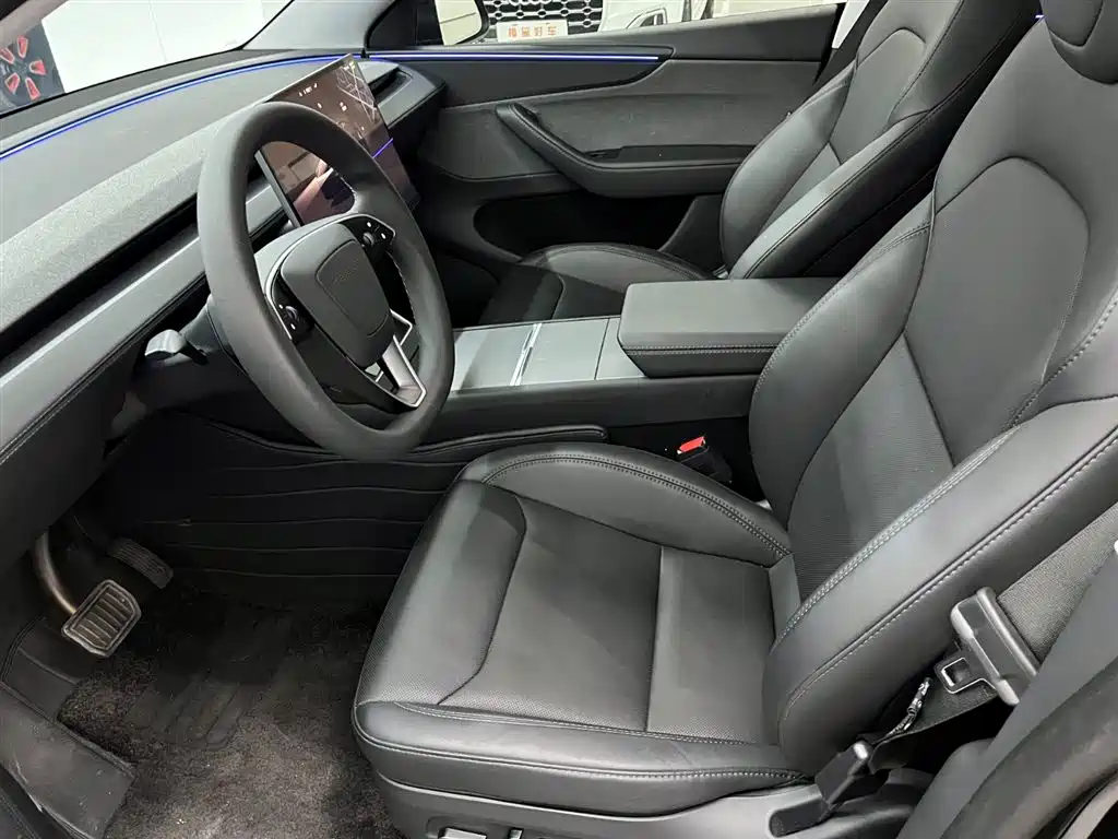 Tesla Model Y — миниатюра 10