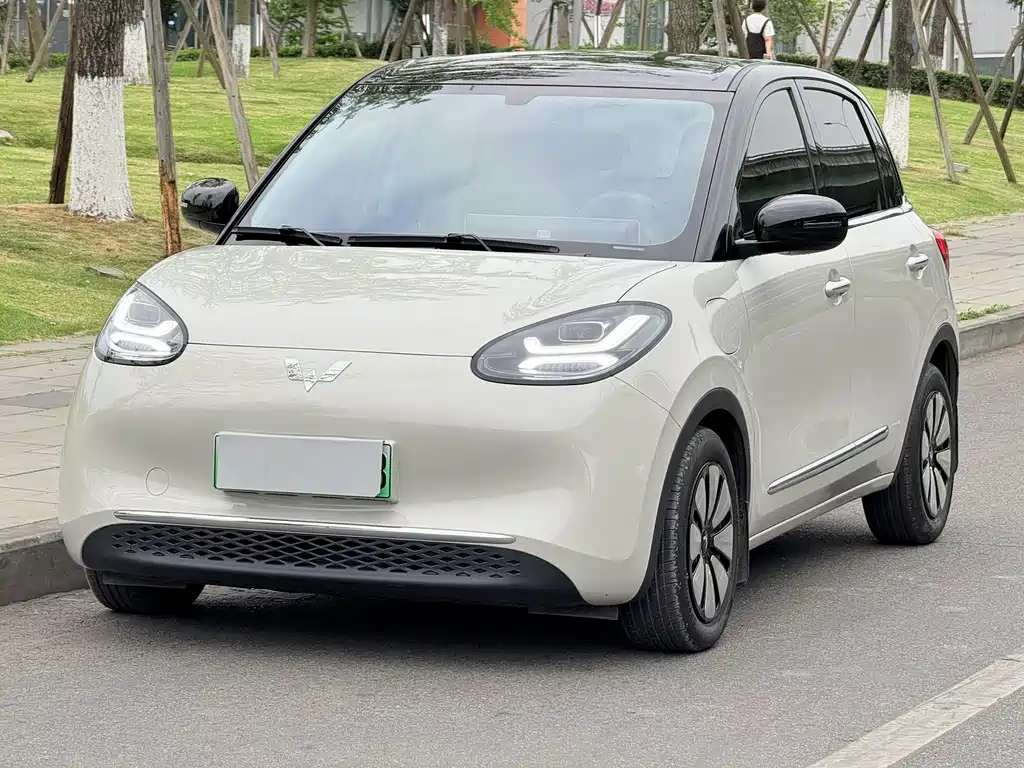 Wuling Bingo 2025