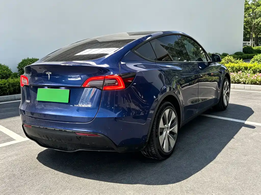 Tesla Model Y — миниатюра 10