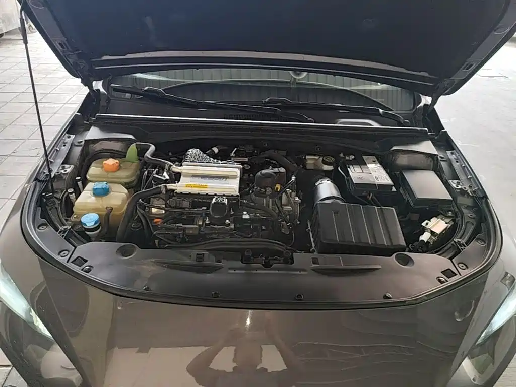 GAC Motor Shadow Leopard — миниатюра 16