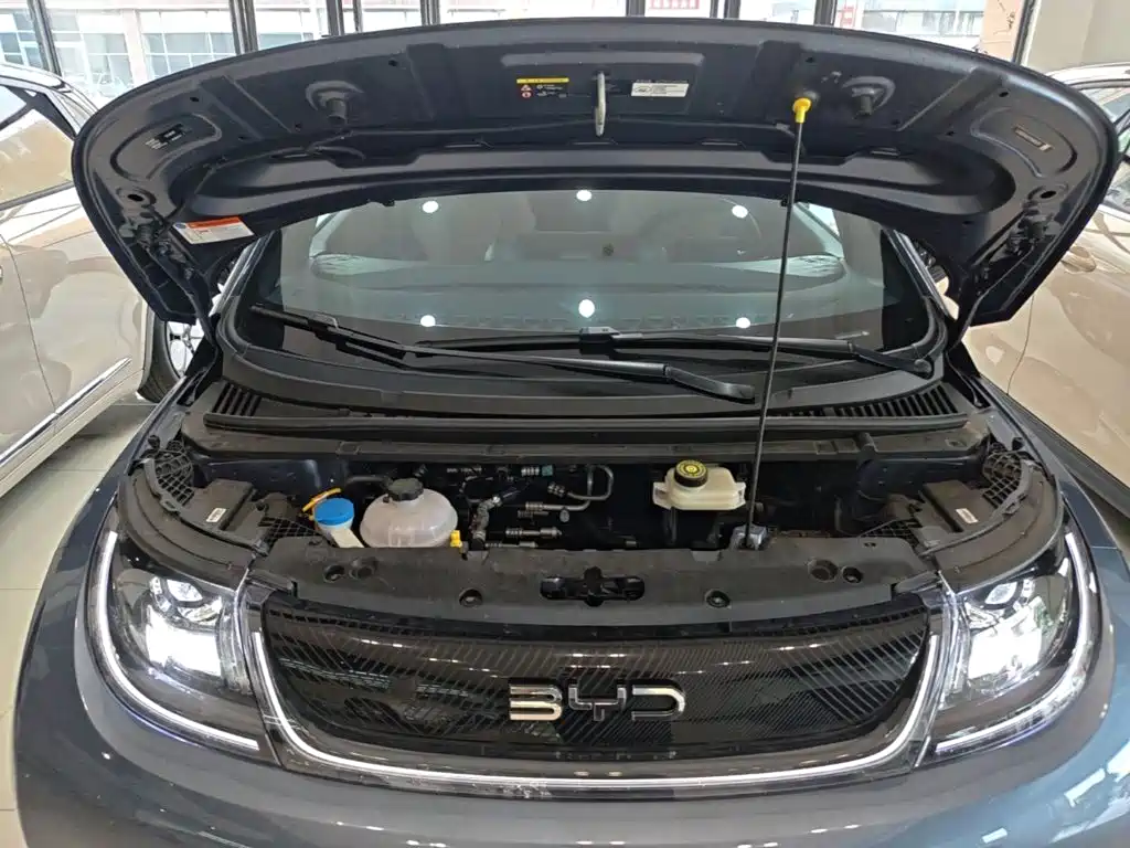 BYD Dolphin — миниатюра 20