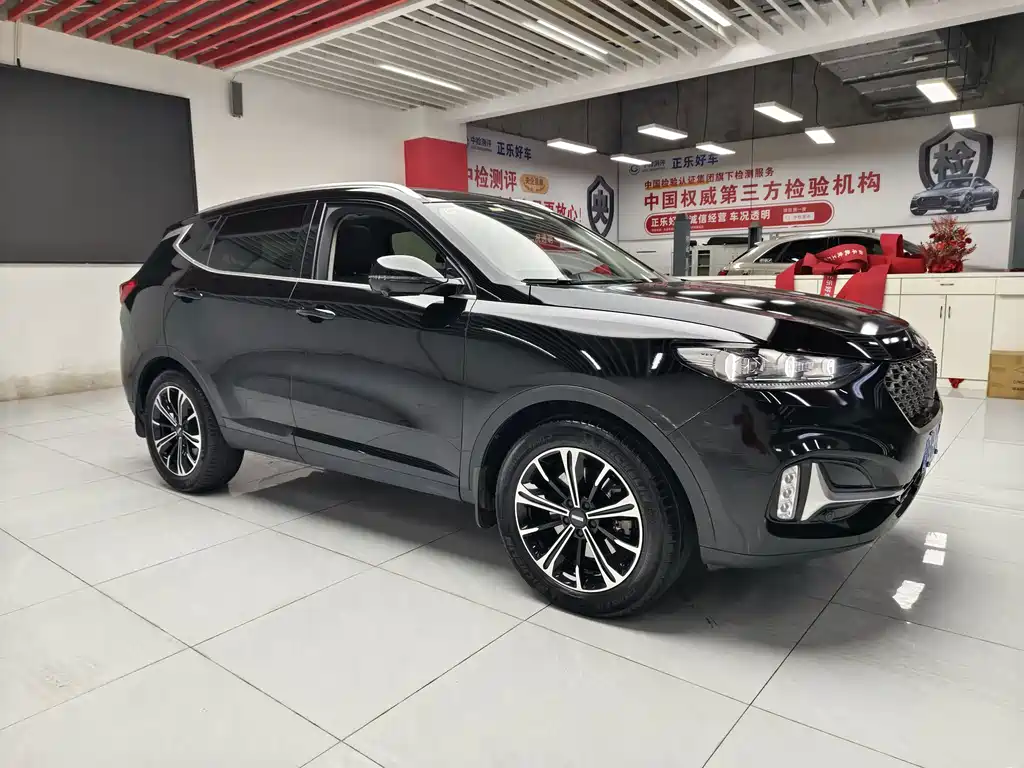 Wey Wey VV6 — миниатюра 7
