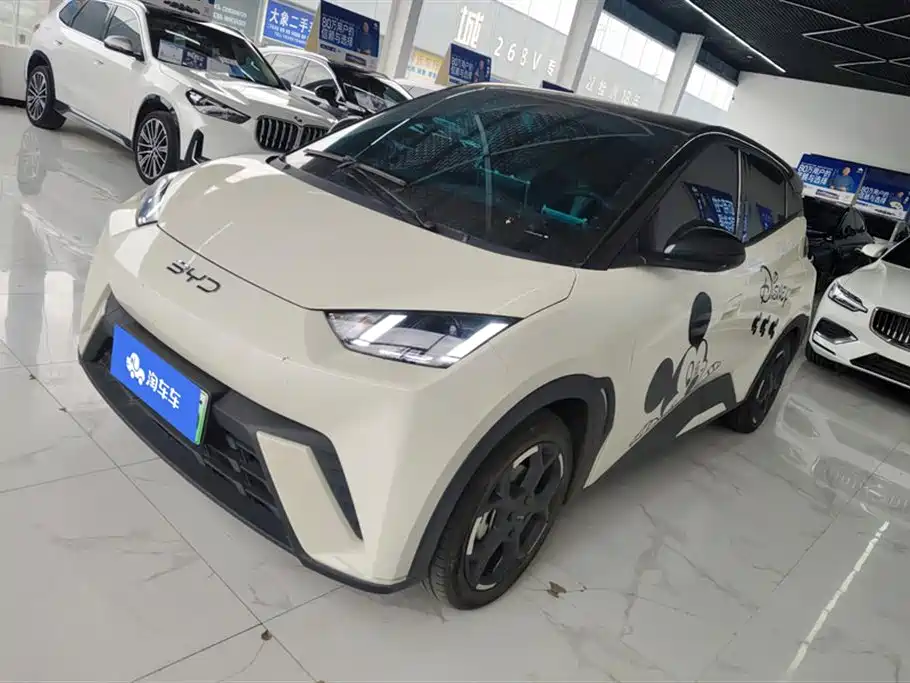 Byd Seagull 2025