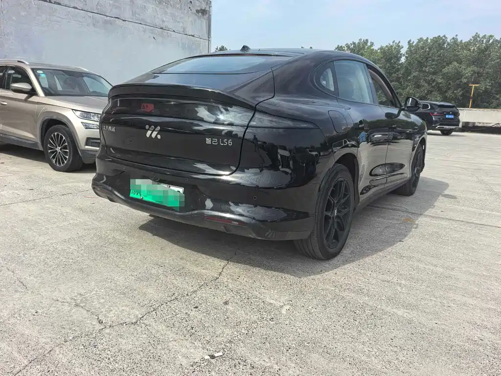 IM IM LS6 — миниатюра 5