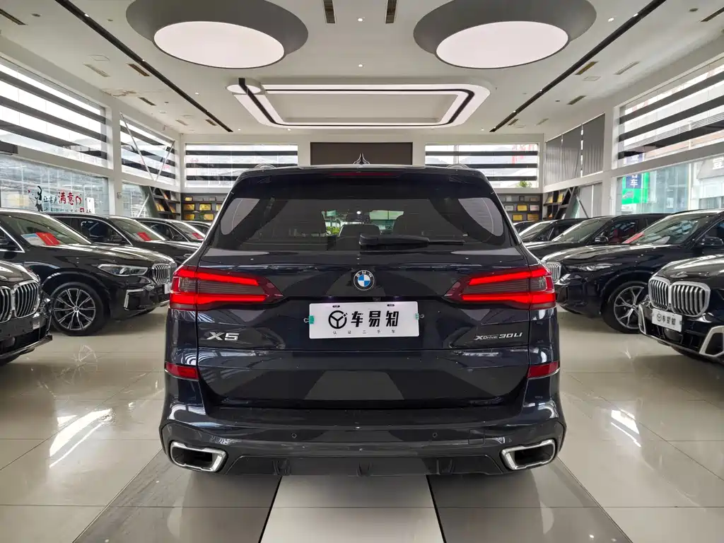 BMW X5 — миниатюра 5