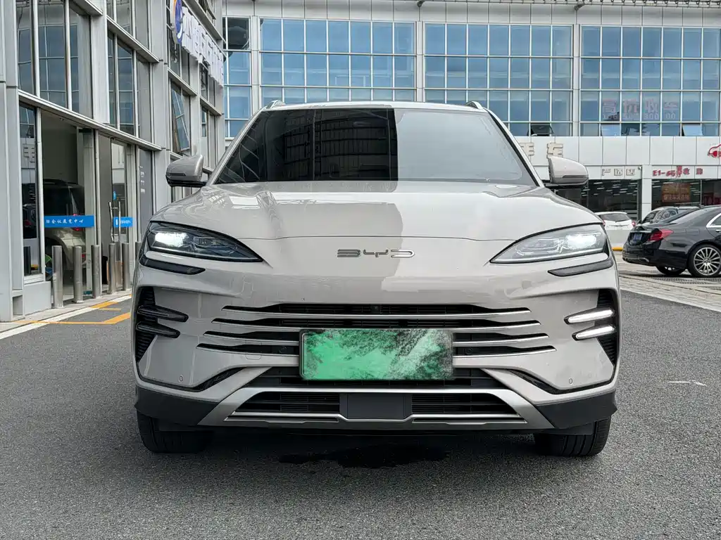 BYD PLUS New Energy — миниатюра 2