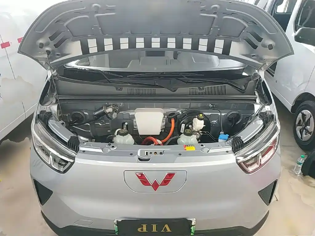 Wuling Yangguang — миниатюра 20