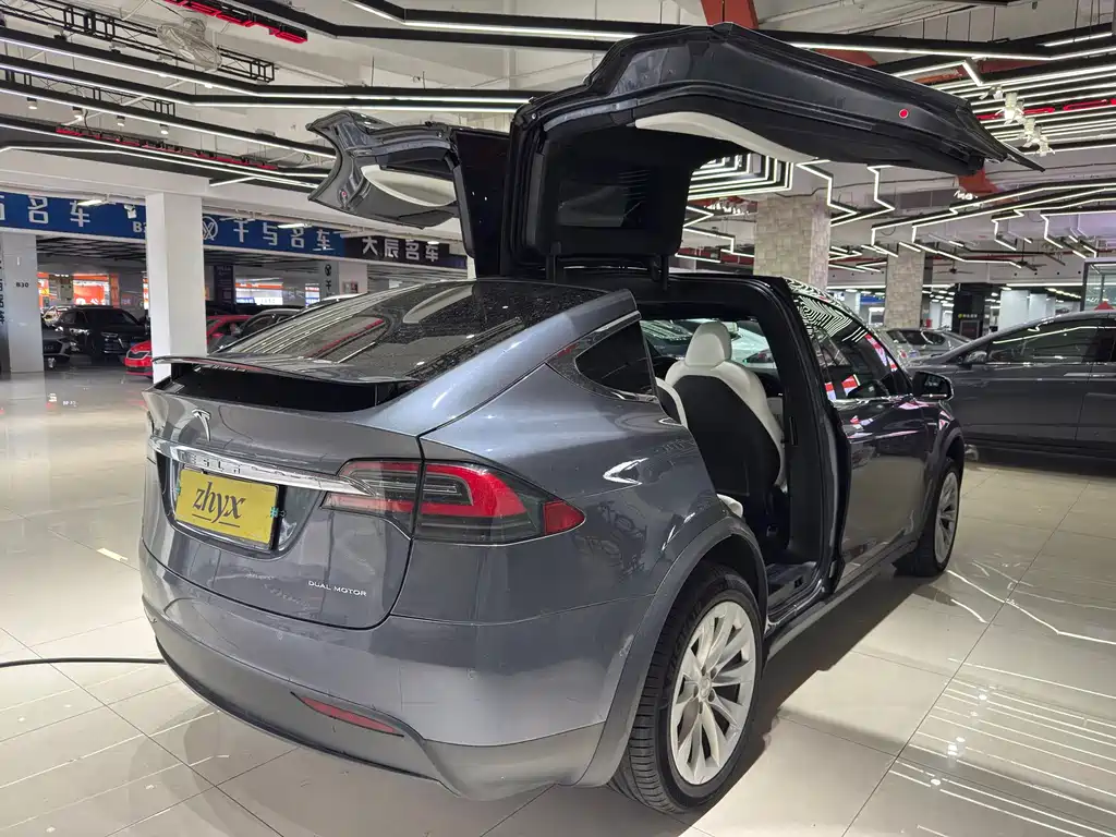 Tesla Model X — миниатюра 4