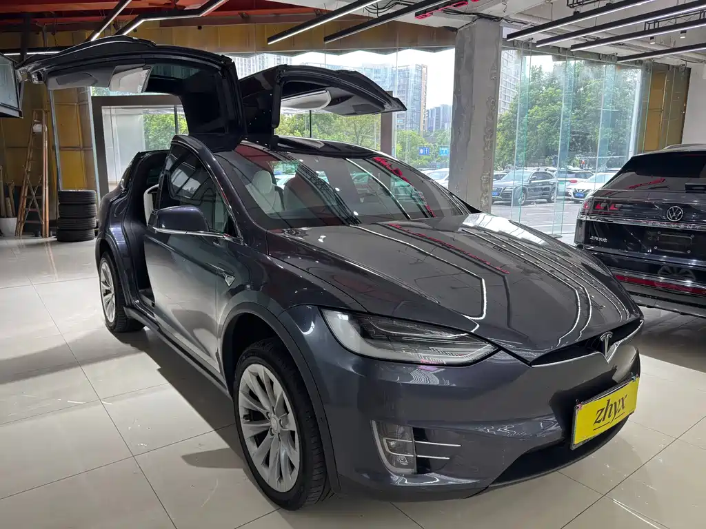 Tesla Model X — миниатюра 3
