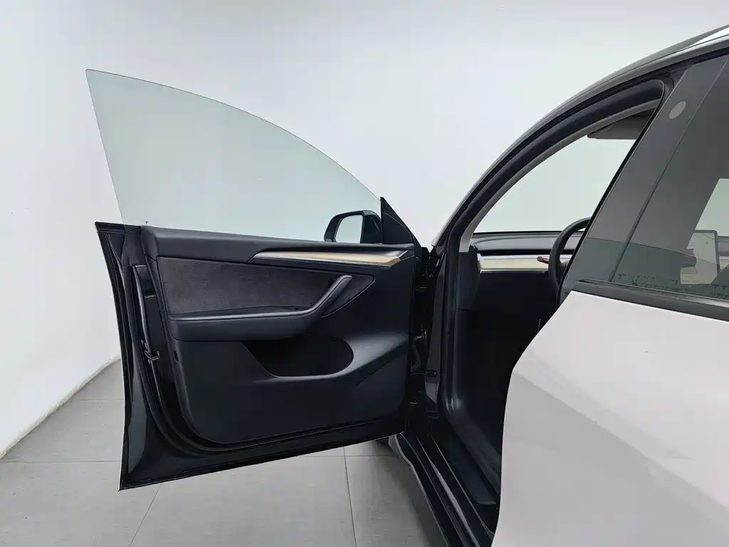 Tesla Model Y — миниатюра 8
