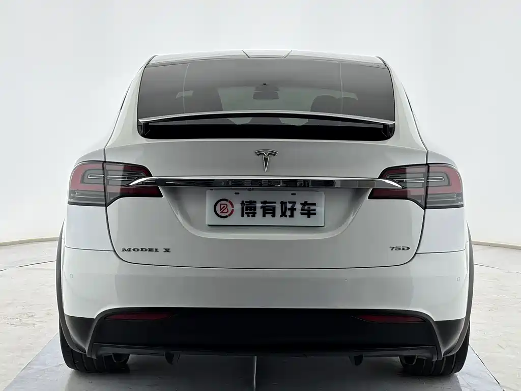 Tesla Model X — миниатюра 13