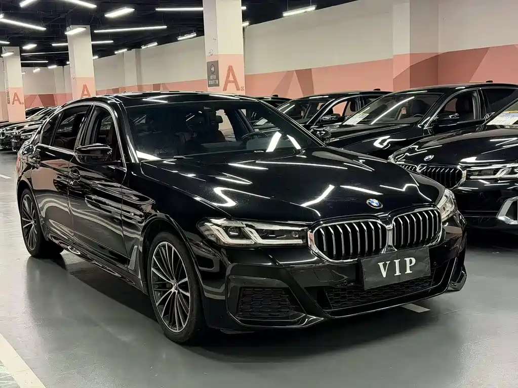 BMW 5 Series — миниатюра 3