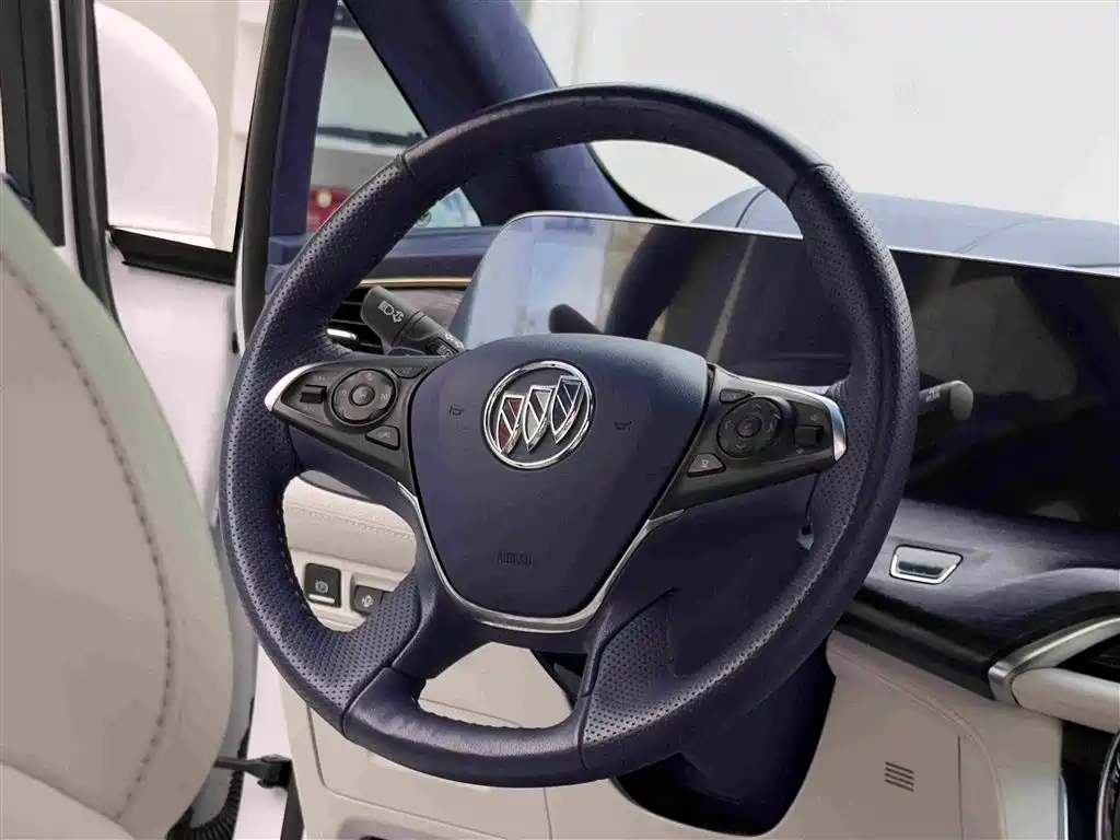 Buick GL8 — миниатюра 15