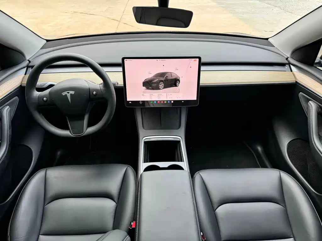 Tesla Model Y — миниатюра 5