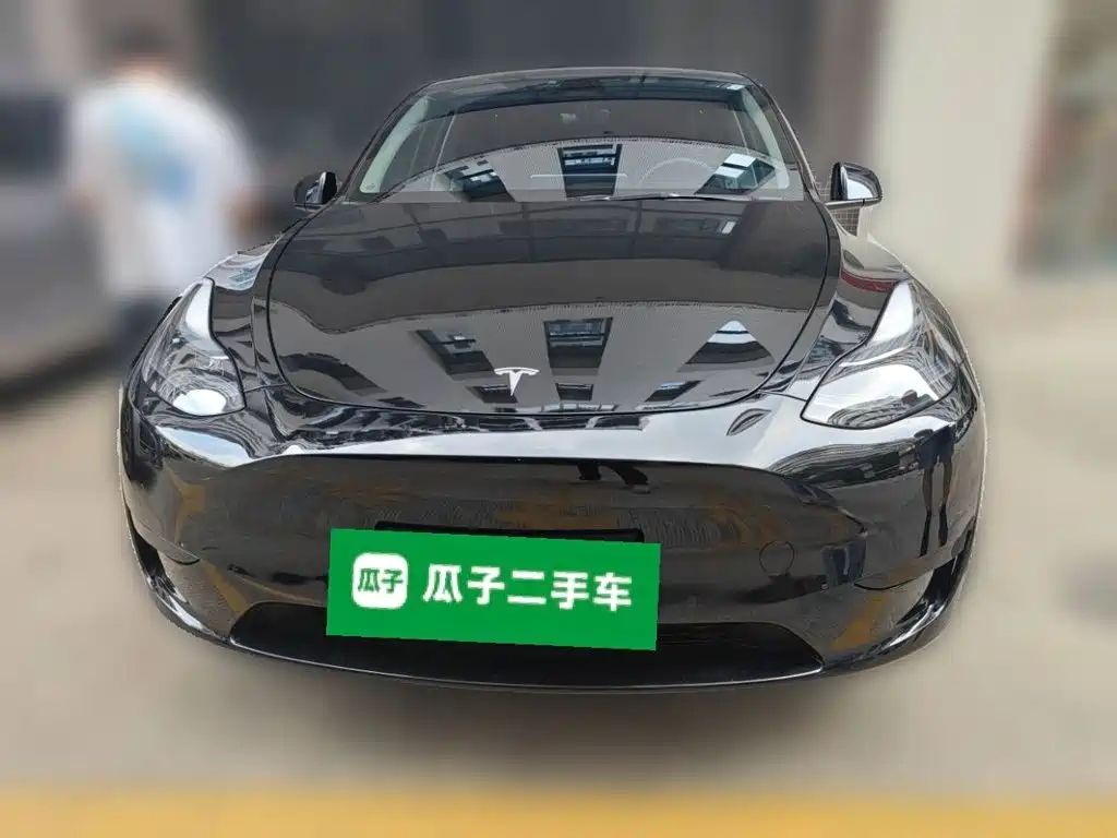 Tesla Model Y — миниатюра 2