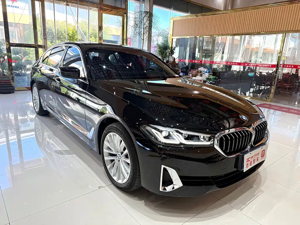BMW 5 Series — миниатюра 3