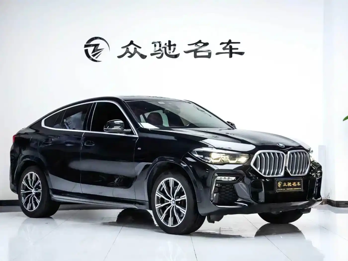 BMW X6