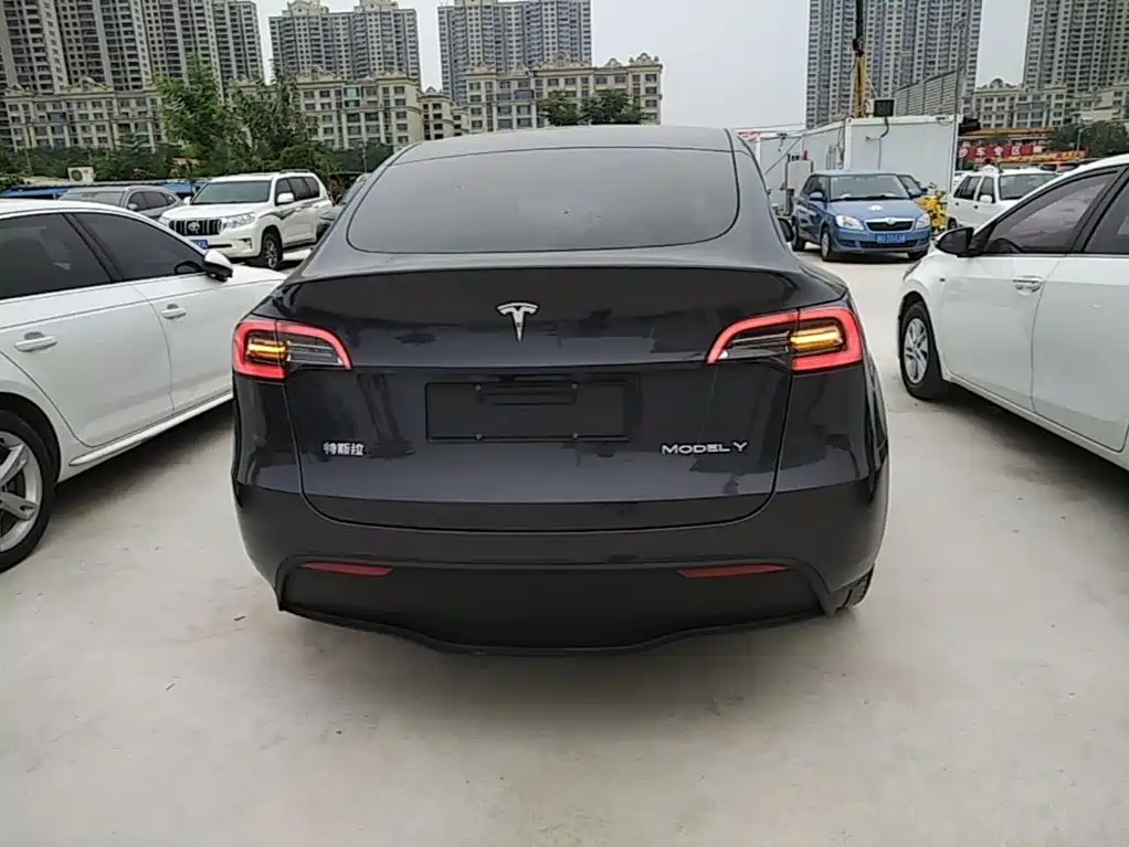 Tesla Model Y — миниатюра 6