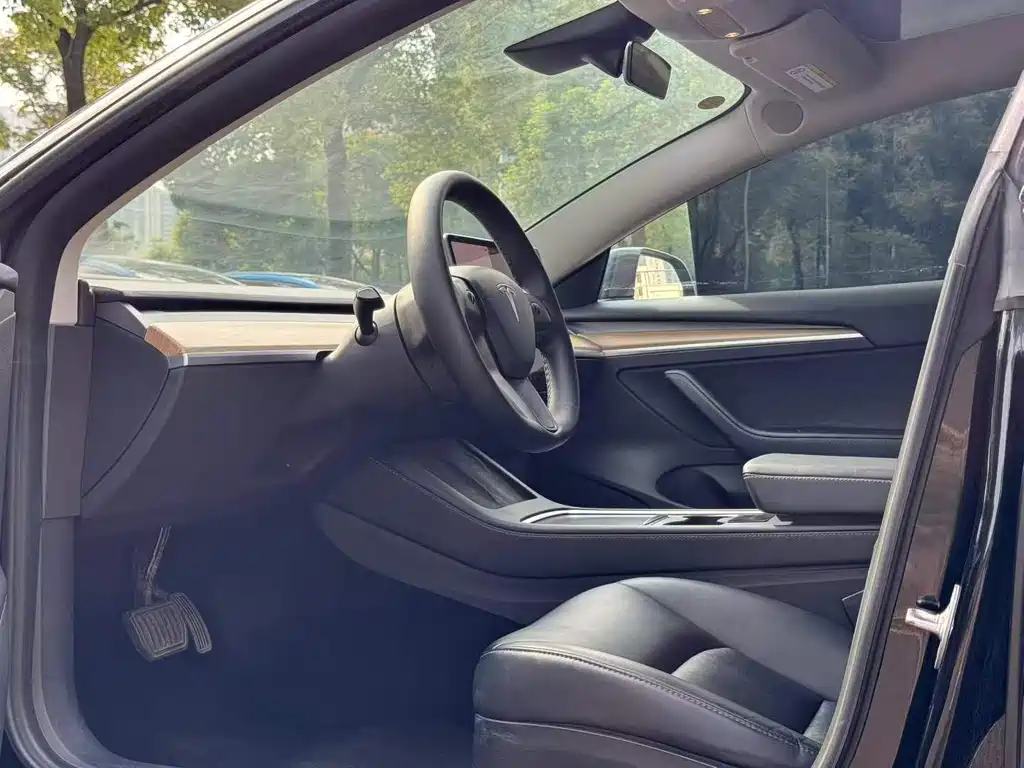Tesla Model 3 — миниатюра 4