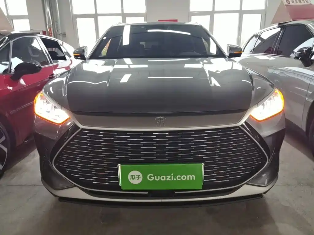 BYD PLUS New Energy — миниатюра 3