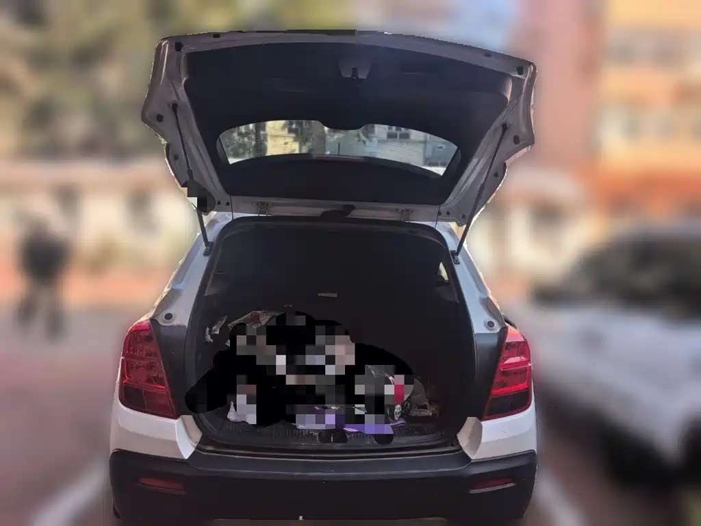Chevrolet Trax — миниатюра 15