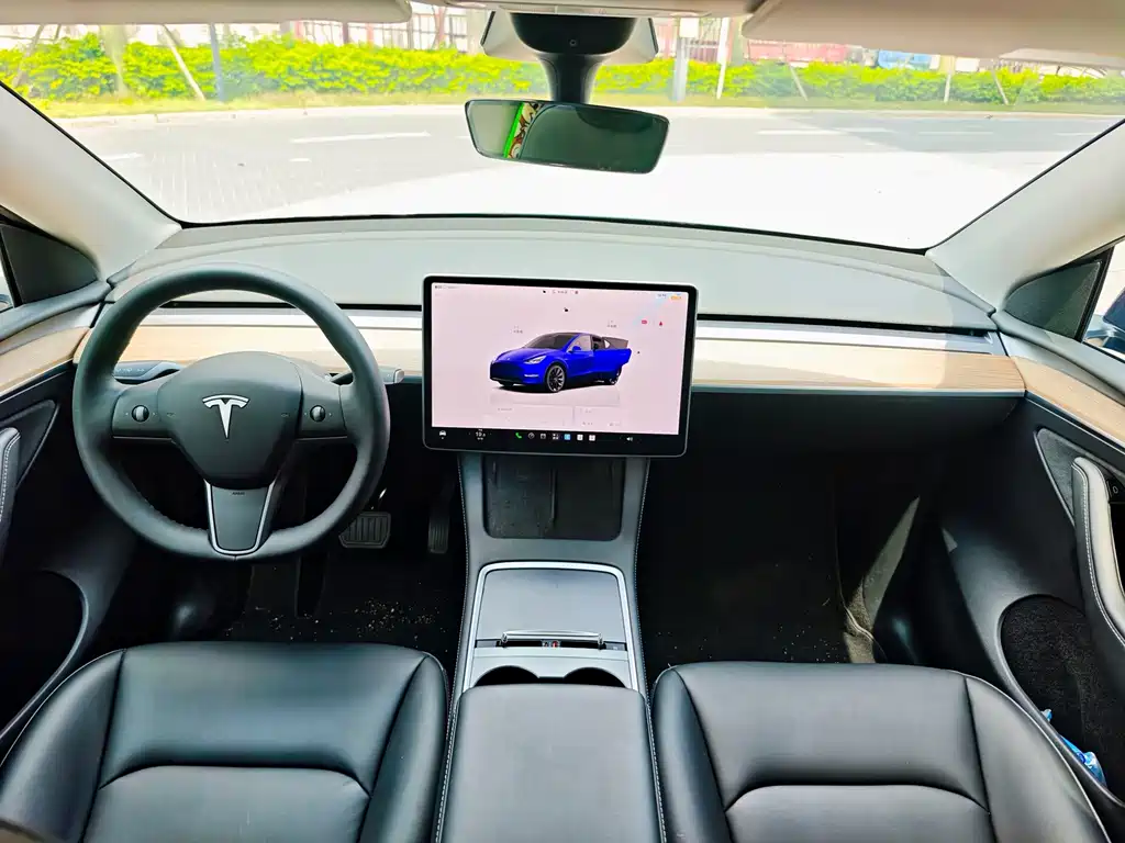 Tesla Model Y — миниатюра 6