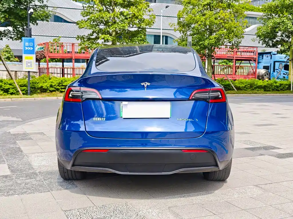 Tesla Model Y — миниатюра 2