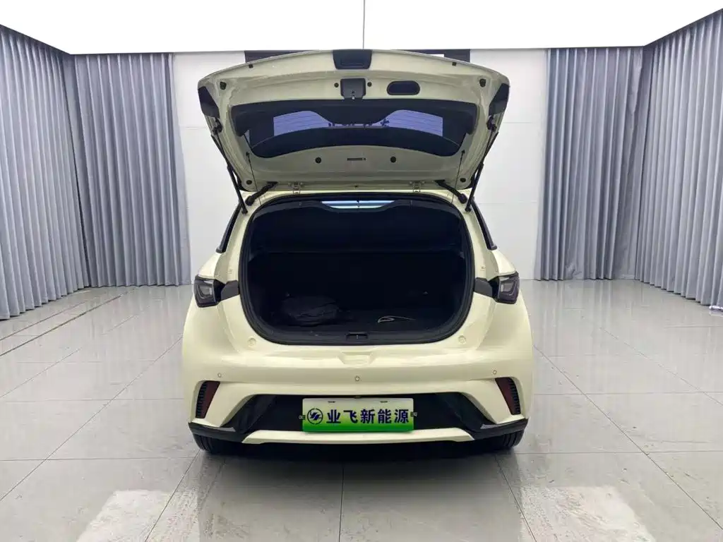 BYD Dolphin — миниатюра 19
