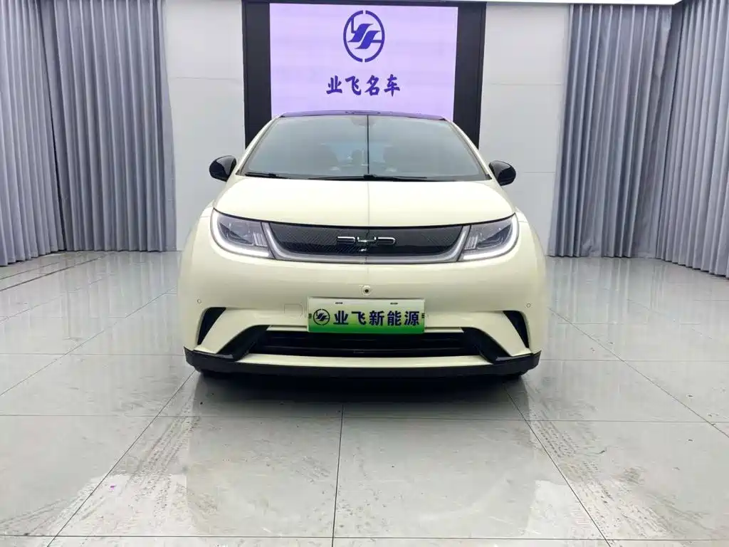 BYD Dolphin — миниатюра 2