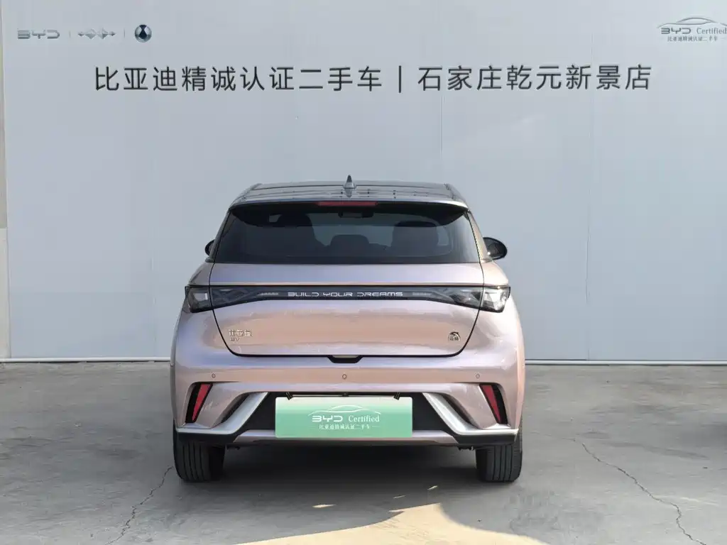 BYD Dolphin — миниатюра 4