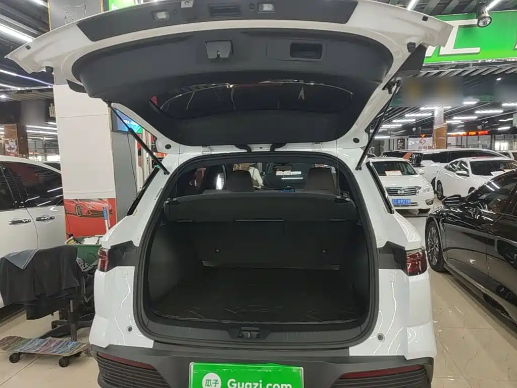 BYD Pro New Energy — миниатюра 19