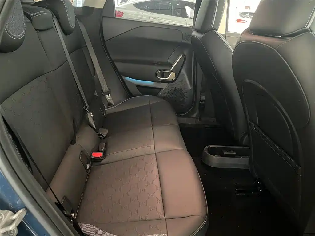 MINI MINI ACEMAN EV — миниатюра 14
